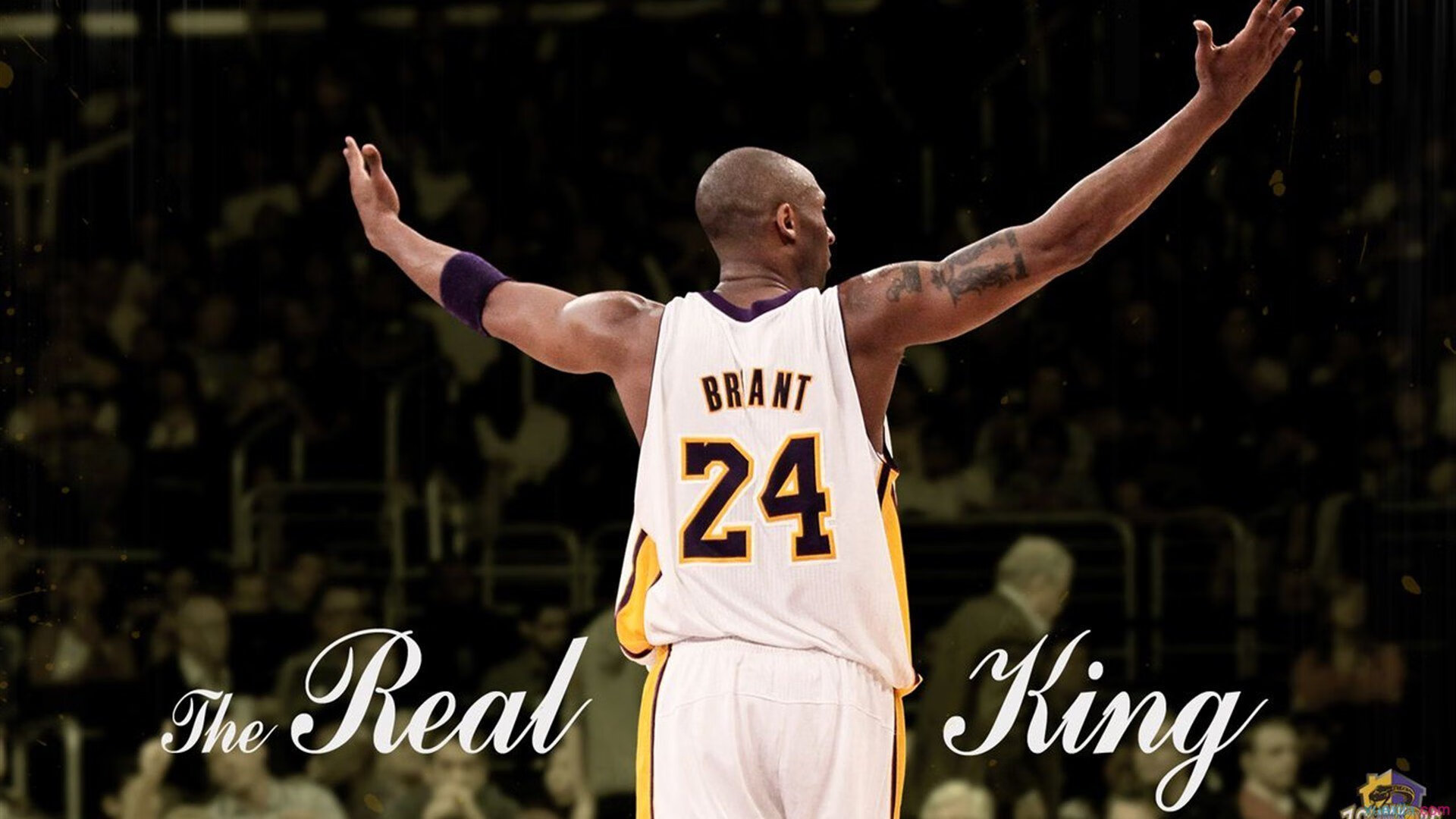 跨界统治力，雄鹿提前终结悬念，詹姆斯欧冠式接管启示录